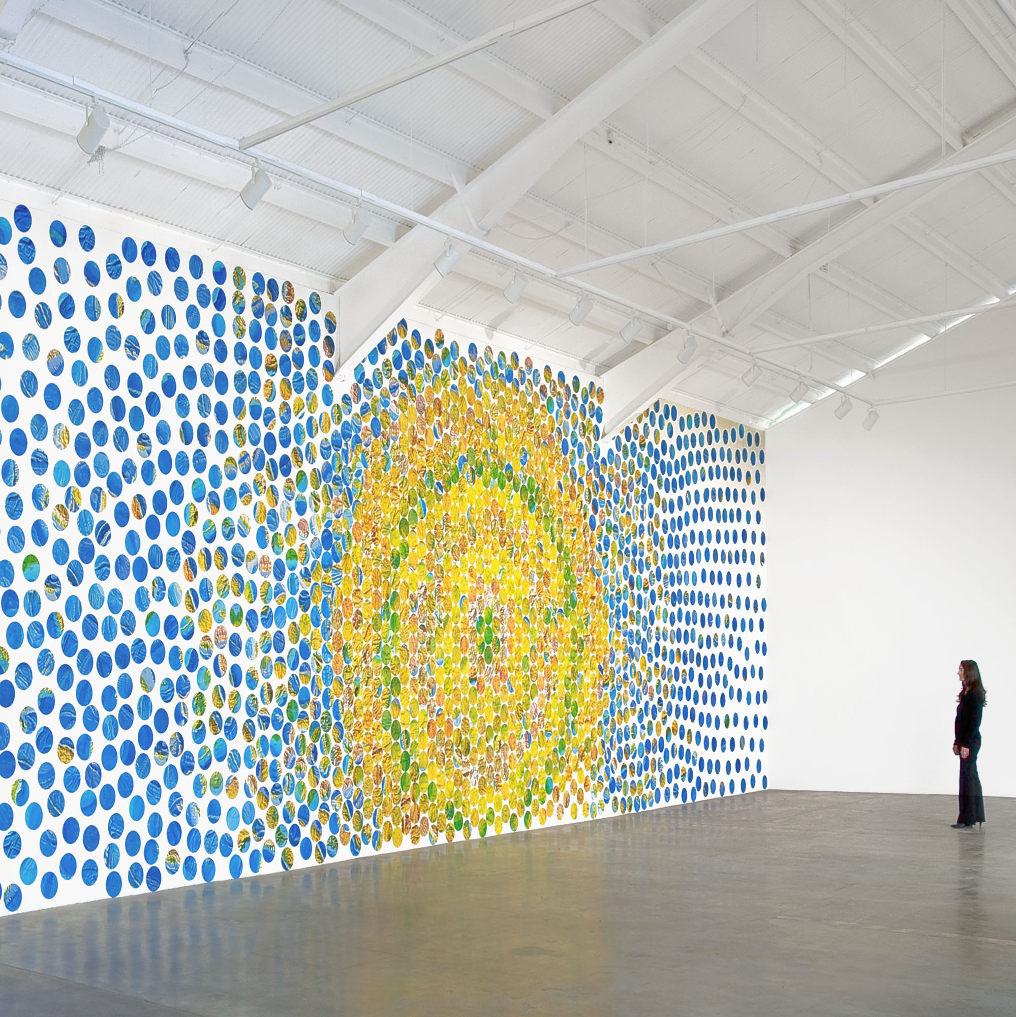 Terra Firma Incognita